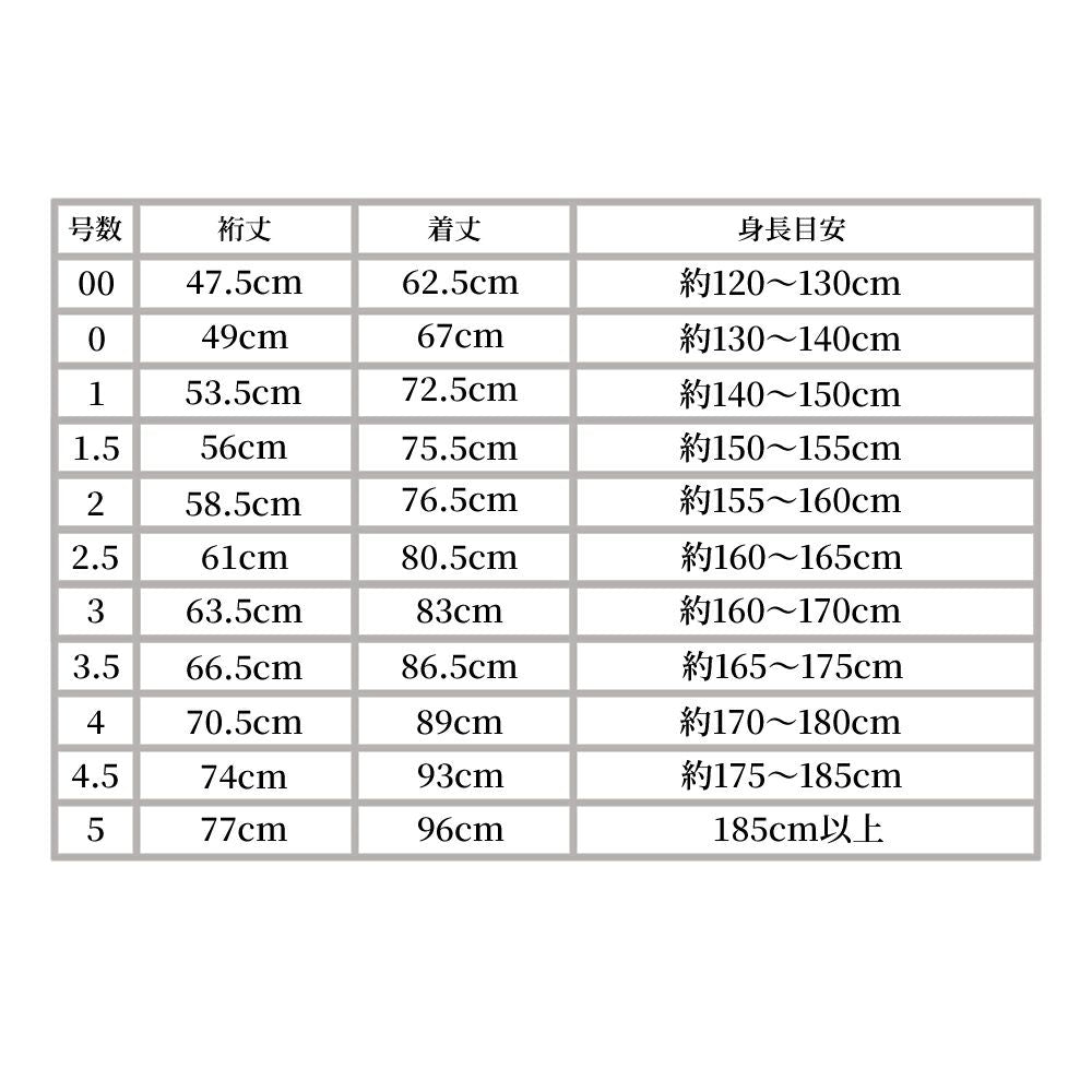 ヴィクシア剣道衣