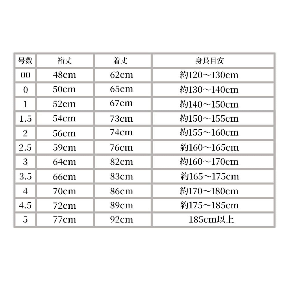 A-1 軽量二重実戦型剣道衣
